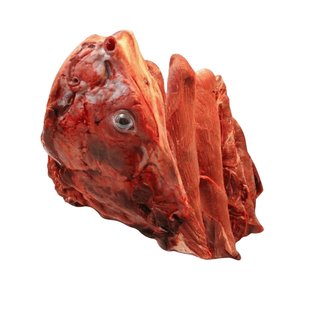 Beef Head 1 lb buy online USA - 1